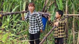 20 take children to school - harvest fruit - cooking - gardening - kitchen repair _Lý Thị Xuân