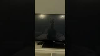 Плейлист на 1356 без абонентской платы iptv