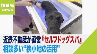 近鉄不動産が直営『セルフドッグスパ』展開するワケは…相談多い“狭小地の活用”（2022年11月2日）