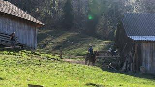 5 Days of Remote Mountain Life. Traditional Cooking and Daily Chores Beyond Civilization