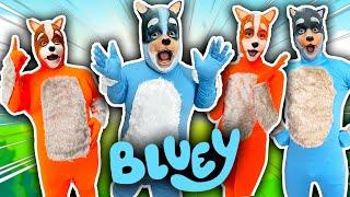 Un dia como los personajes de BLUEY !! / Memo Aponte