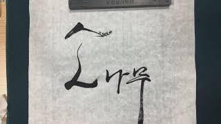 [calliB] korean calligraphy 캘리비 캘리그라피 소나무