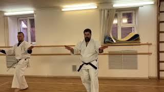 Kata Haffa White Crane from Master Gokenki