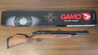 AIRGUN GAMO RISER PUNISHER Cal.5,5mm (40 Joule)