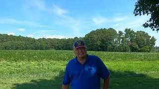 Bass Farm Organics Momeyer, NC: Organic Soybean Production