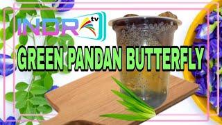 GREEN PANDAN BUTTERFLY