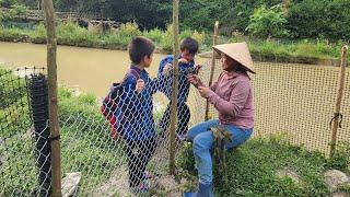 Tie the stakes tightly, spread the gardening wire mesh to prepare for planting new vegetables.