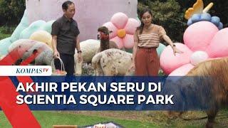 Aktivitas Seru di Scientia Square Park  Tangerang, Cocok untuk Habiskan Weekend dengan Keluarga