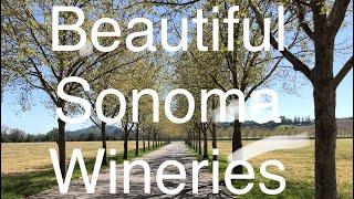 Sonoma Wine Tasting; 11 Wineries in 4 Days!  Plus...H2 Hotel + Healdsburg