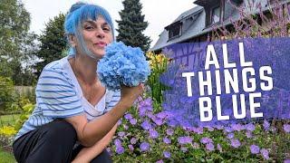 Such Easy and Pretty BLUE Plants for Your Garden