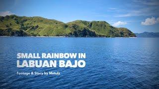 Small Rainbow in Labuan Bajo