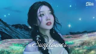 Red Velvet 레드벨벳 'Sunflower' (Official Audio)