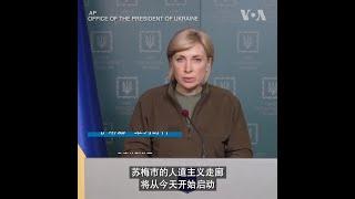 俄乌暂时停火 允许平民撤离苏梅