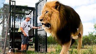 Join Kevin Richardson's Lion PRIDE | The Lion Whisperer