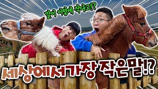 오늘부터 슈뻘맨이 키우게 되었습니다.. 근데 말 맞아!?