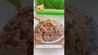 Cùng vào bếp làm món ăn cho mèo chỉ với 30K- Pet Corner