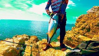 Caught a huge bonito on the edge of the rock