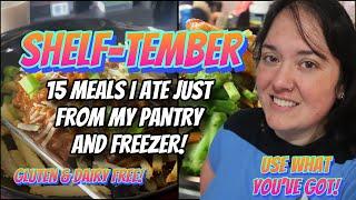 ShelfTember Pantry & Freezer Challenge | Whats For Dinner Recipes on a Budget | Gluten & Dairy Free