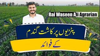 Wheat Cultivation On Beds | How to Get Record Production | Agrarian Network