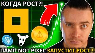 ️ ЭТОТ ПАМП NOT PIXEL ДО $0.65-$1 ЗАПУСТИТ МЕГА РОСТ MEM DOGS, NOTCOIN И TONCOIN! РОСТ НЕИЗБЕЖЕН?!