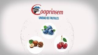 Unidad Frutales Cooprinsem