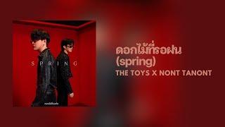 [Lyrics] ดอกไม้ที่รอฝน (spring) - THE TOYS x NONT TANONT (Thai/Eng/Rom/中字)