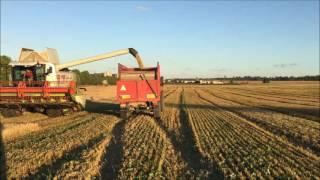 Barley harvest in Estonia 2016