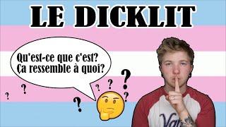 THe dicklit // French FTM transgender // Crazyden!