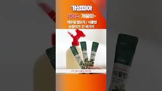 다이소 개꿀띠~ 캐쥬얼 캡모자/식물밥/손잡이가 긴 바가지
