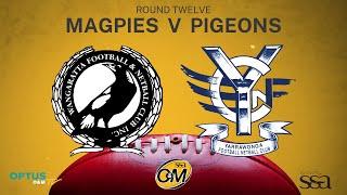 R12 2023 - Wangaratta Magpies vs Yarrawonga Pigeons