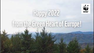 New Year's Greetings from WWF CEE 2022