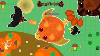 Mope.io | Rare kills Compilation | Toucan and Lava Toucan kills Black Dragon