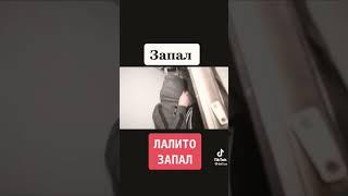 Тошкентда ушланди кизлар / запал ёмони #запрет #rek #тикток