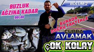 ÇUPRA AVLAMA TAKTİĞİ /Çanakkale #fishing #çupra #balıkavıvideoları #çanakkale #balıkavı #surfcasting