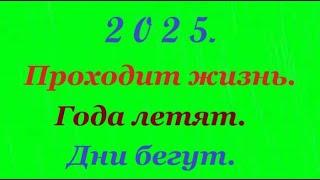 🪗«Проходит жизнь.» ДОРОЖИТЕ ВРЕМЕНЕМ!   2025.