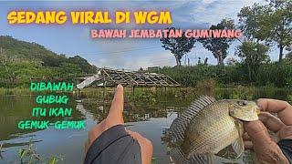 SPOT VIRAL WADUK GAJAH MUNGKUR‼️ DIBAWAH GUBUK DERITA IKAN GEMUK GEMUK #mancing #fishing #fish