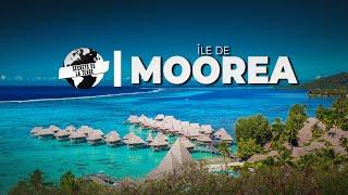 Documentaire Polynesie : Les secrets de Moorea