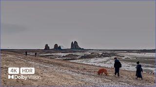 [4K HDR] 해변을 따라 걷는다  제부도 제비꼬리길 | 한국관광100선 | Jebu Island ‍️ 걷기 좋은 길 | 산책사진가