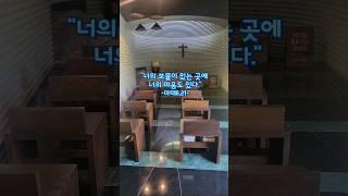 DJ Bene 신부님 복음 묵상글 #복음묵상 #대전교구#새터성지