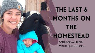 The Last 6 Months on the Homestead (Plus Answering Your Questions)