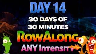 30 Days of 30 Minute Rows - Day 14 - Indoor Rowing Machine Workout