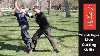 Yin Style Baguazhang: Lion Cutting Skills - 八卦掌 獅形