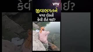 જીવાભગત અને મગર શીતલની દોસ્તી કેવી રીતે થઈ? માછલીઓ બની કારણ, રસપ્રદ કિસ્સો જાણવા જેવો | VTV Gujarati