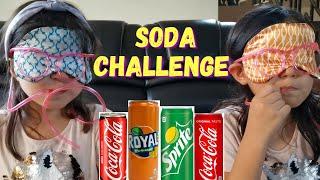 SODA CHALLENGE /INDOOR GAME/FAMILY GAME/GOEHNS FAMILY