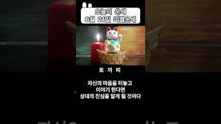 오늘의 운세 6월 21일 토요일 띠별운세 [ 내일의 운세 ]