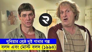 বলদ এবং মোস্ট বলদ(১৯৯৪) Movie explanation In Bangla | Random Video Channel