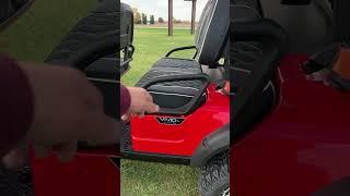 New 2024 Lithium Vivid EV V6L 48V AC Powered 6 Seater Limo Golf Cart Lifted #lithium #vivid #fun