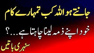 quotes about allah in urdu part 01 rahe haq quotes | beautiful quotes | urdu quotes | golden words |