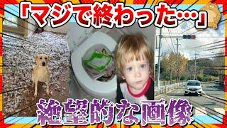 [ Hilarious] Completely finished lol. A collection of images that will make you burst out laughi...