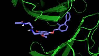 Molecular Docking of Ligand Candidates on PD-L1 Protein Structure